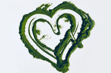 Ein Herz aus grünem Pulver auf einem weissen Untergrund, symbolisch für Spirulina oder anderes Superfood-Pulver.
