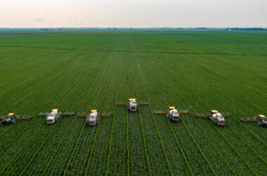 Mehrere landwirtschaftliche Sprühgeräte fahren über ein weites Feld, um das Unkraut mit Glyphosphat, einem weit verbreiteten Herbizid, zu bekämpfen.