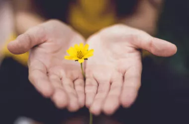 Zwei offene Hände halten eine gelbe Blume, die zwischen den Fingern hervorsteht.